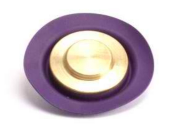 FPR 2/3000 Replacement Diaphragm Assembly